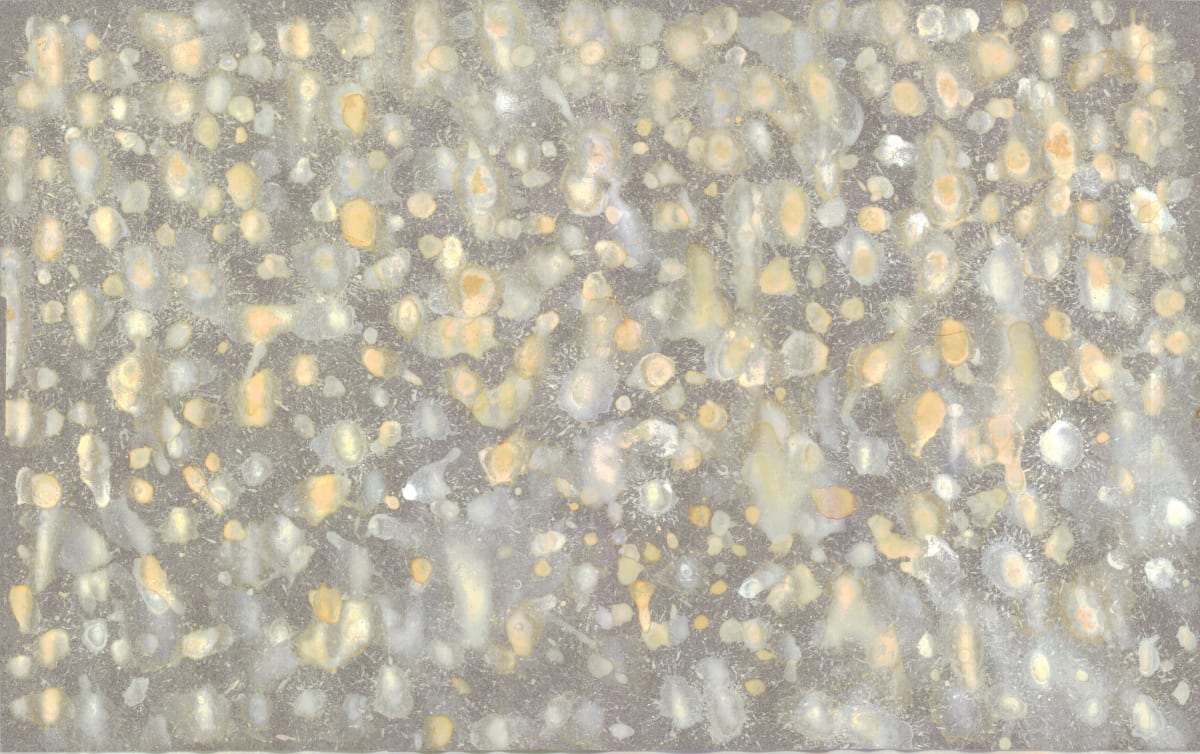 Untitled 92 by Bonnie Kaehler 