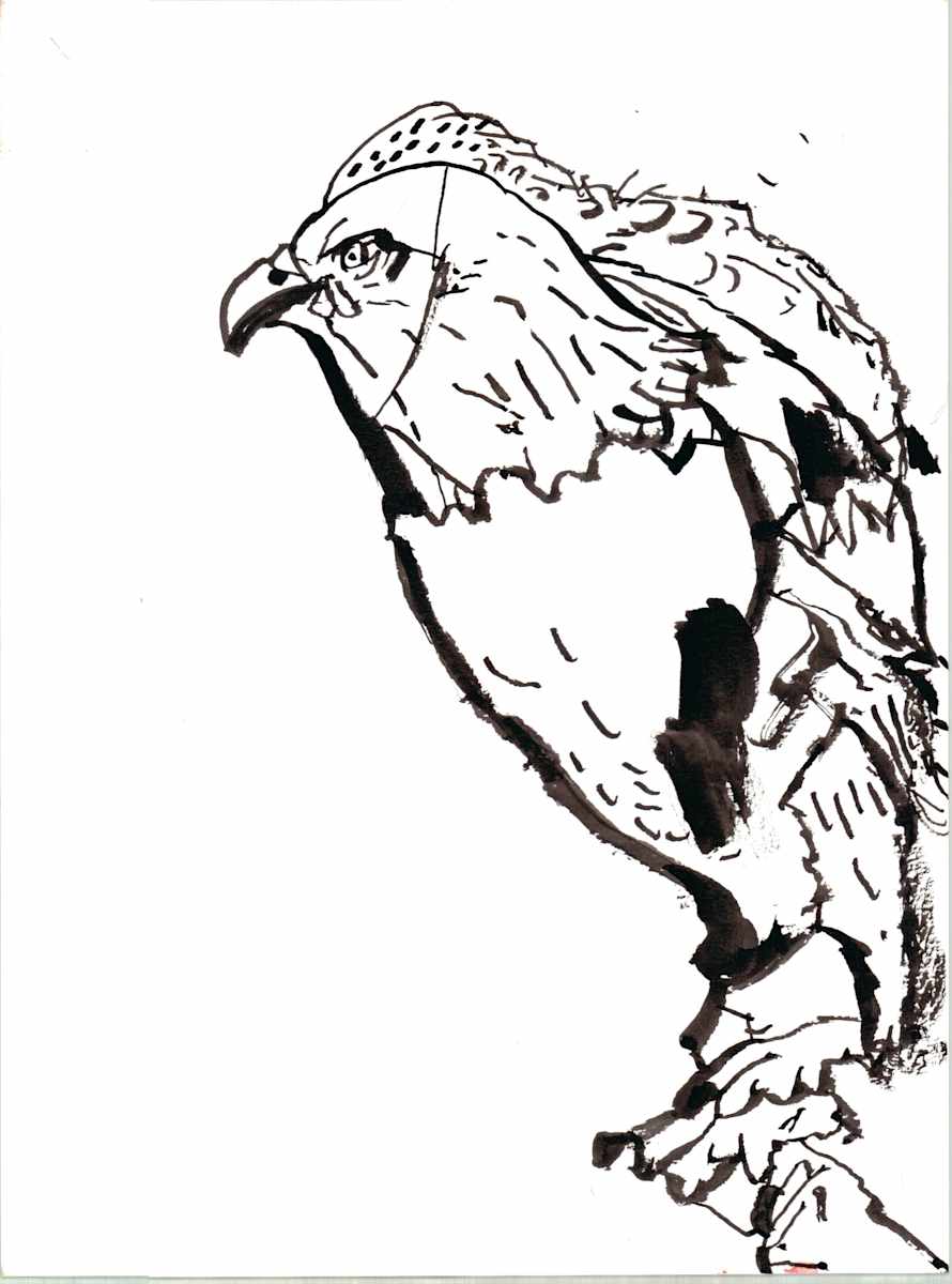 Bird by Robert Robles 