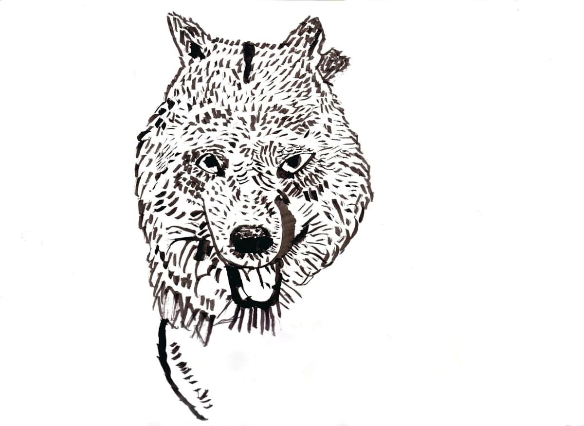 Wolf by Robert Robles, Image 1.