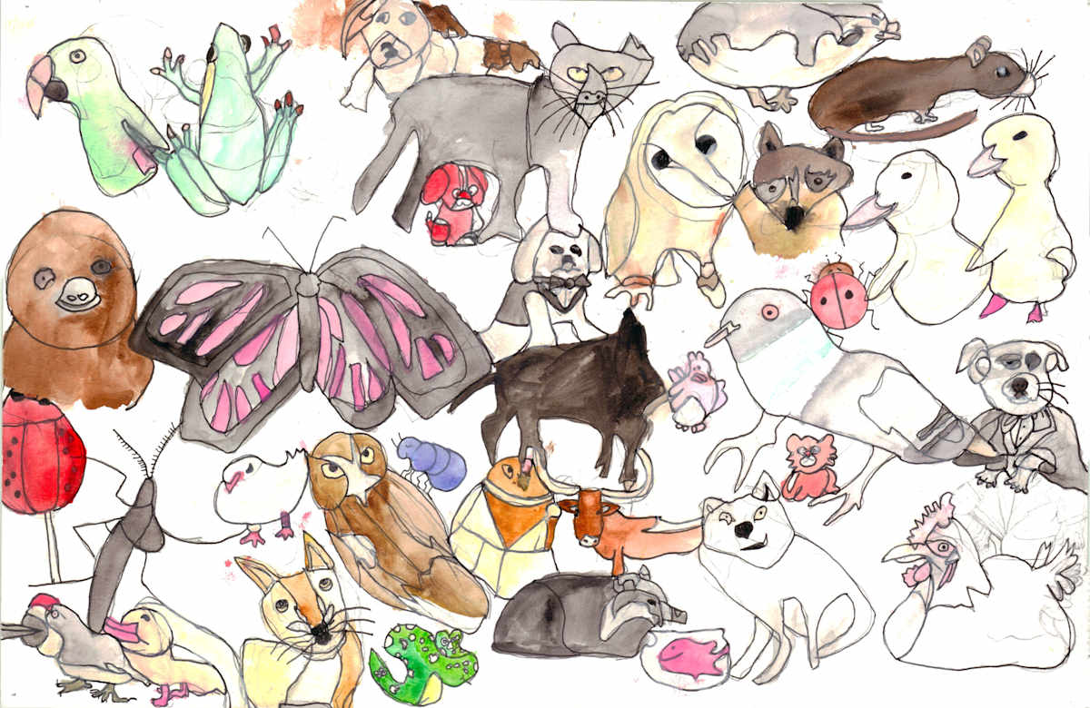 Lots of Animals by Krysten Tong 