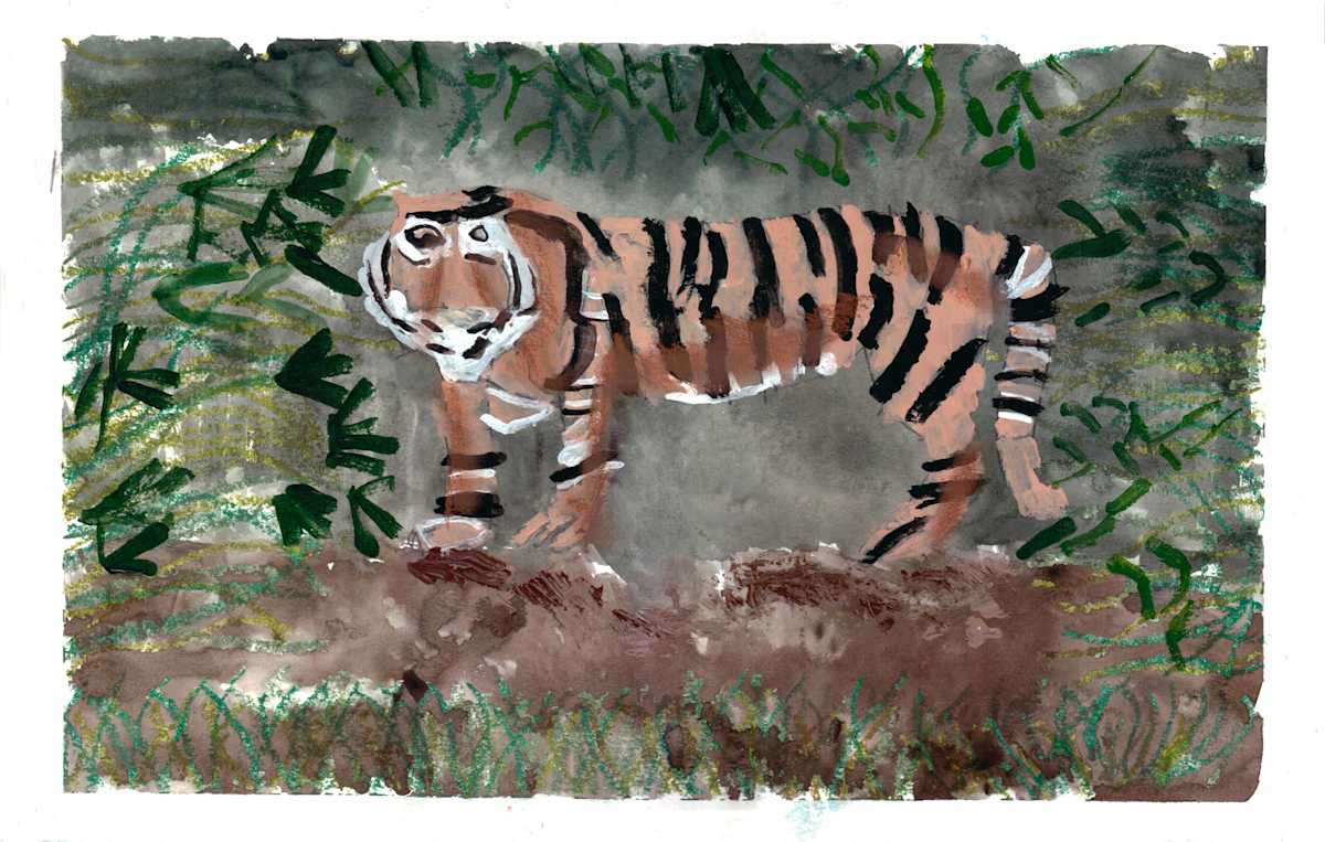 Tiger by Krysten Tong 