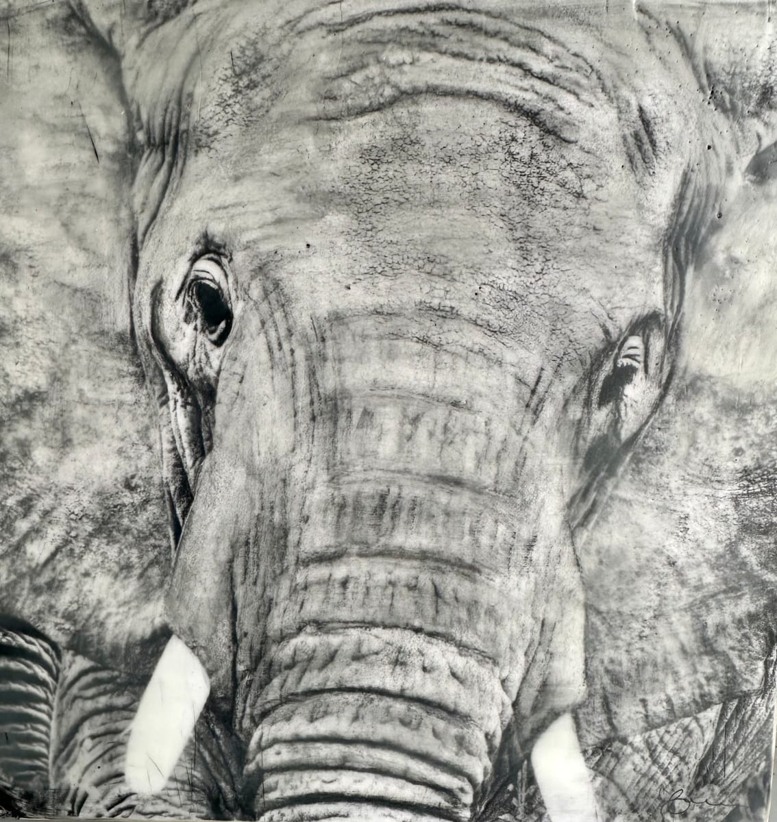 Powerful by Nancy Falconi 