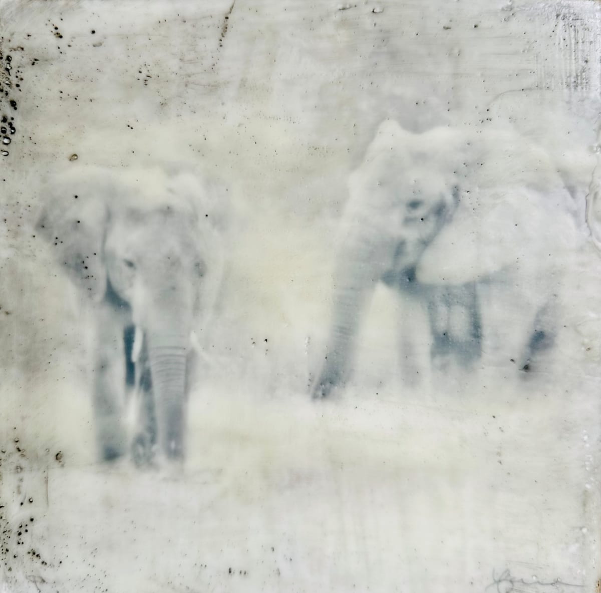 Grounded by Nancy Falconi 