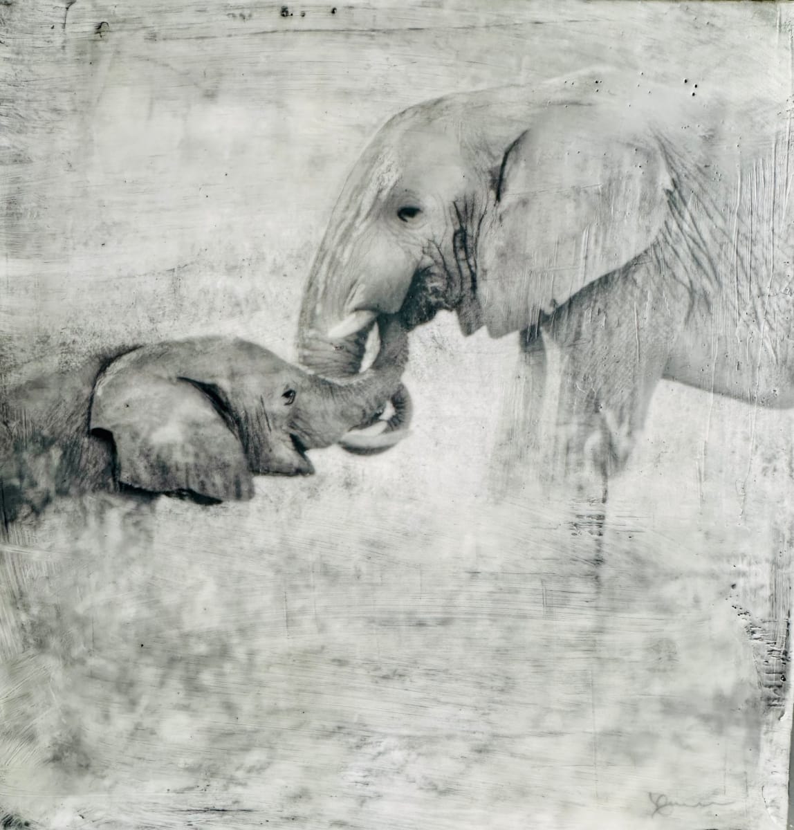 Protection & Strength by Nancy Falconi 
