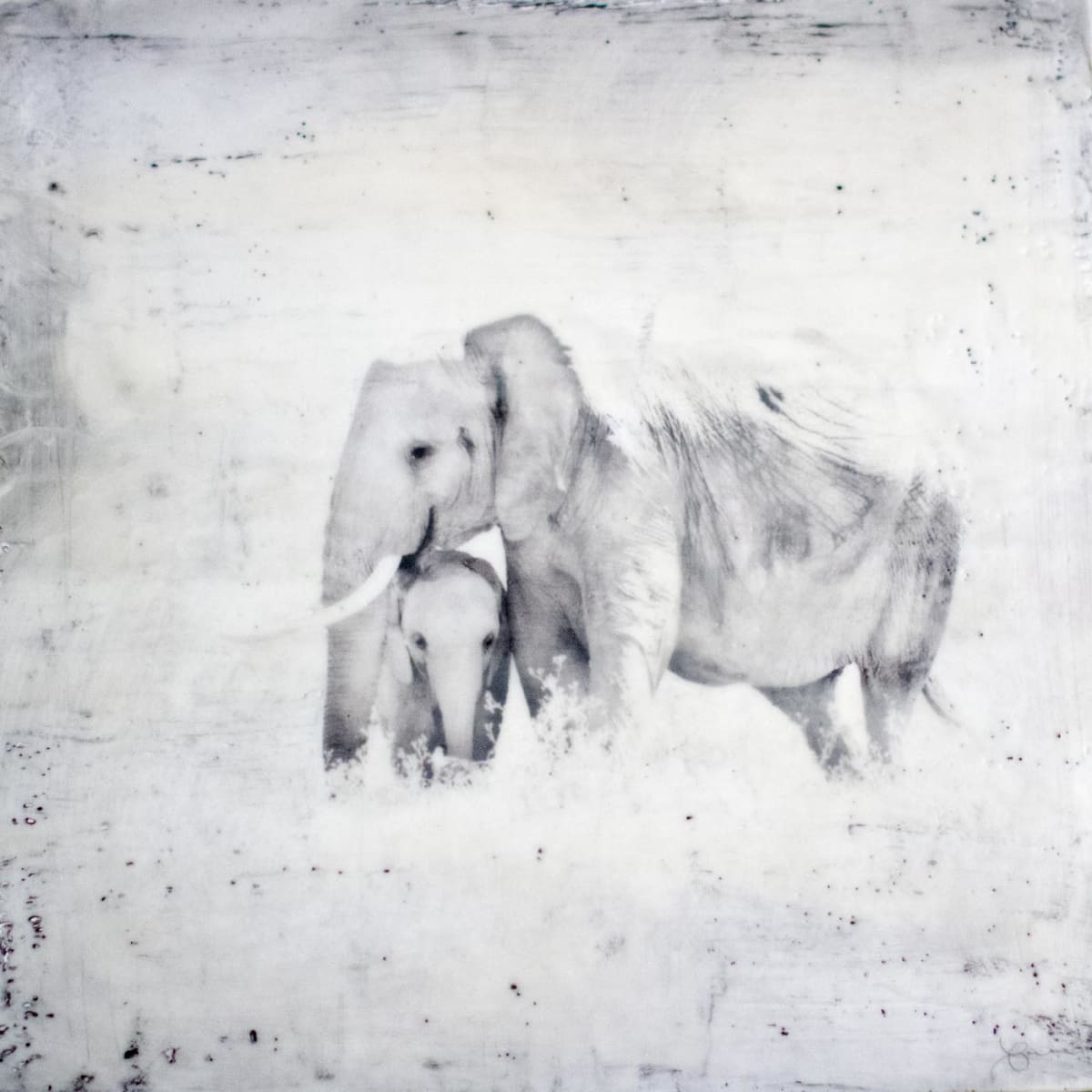 Connection by Nancy Falconi, Image 1.