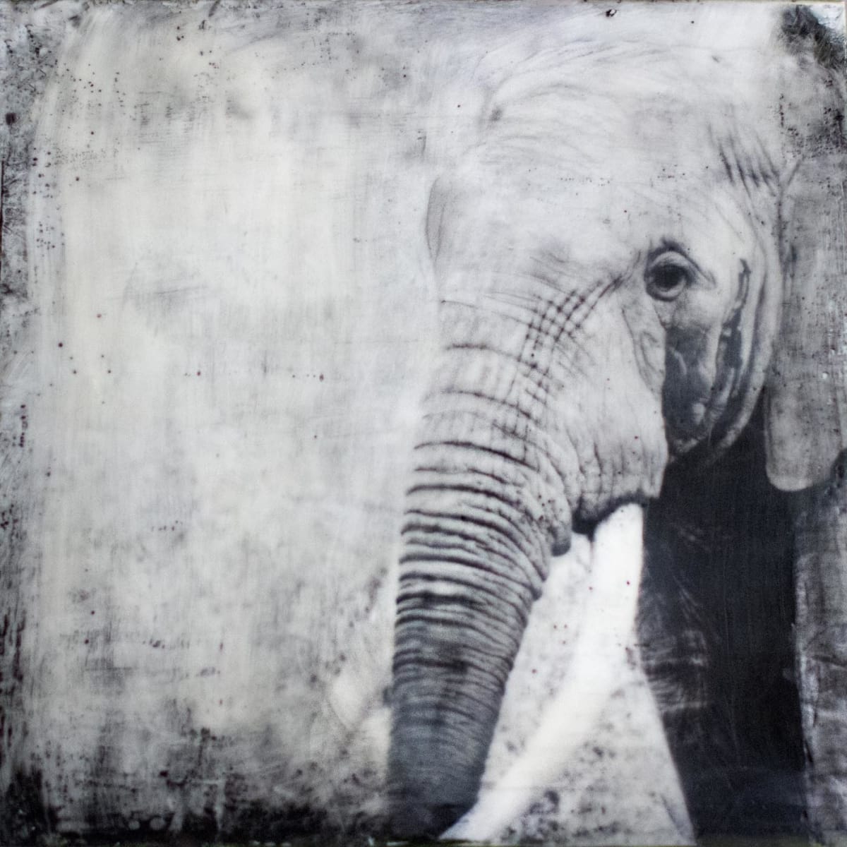 Balance by Nancy Falconi, Image 1.