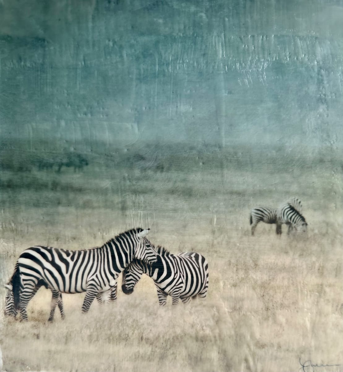 Zebra - Kuabudu (adore) by Nancy Falconi 