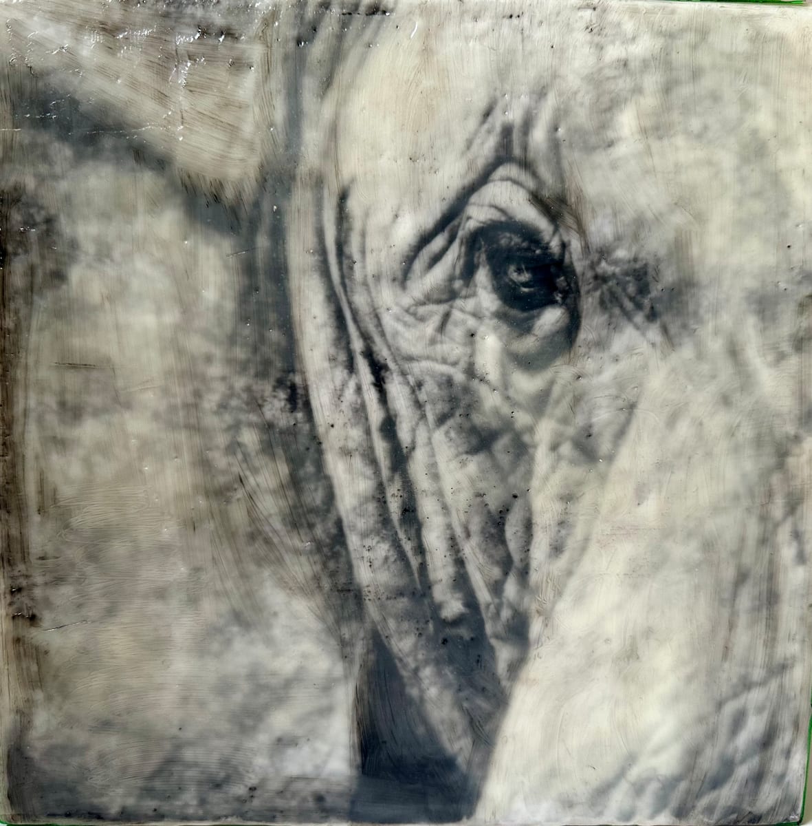 Inner Vision by Nancy Falconi 