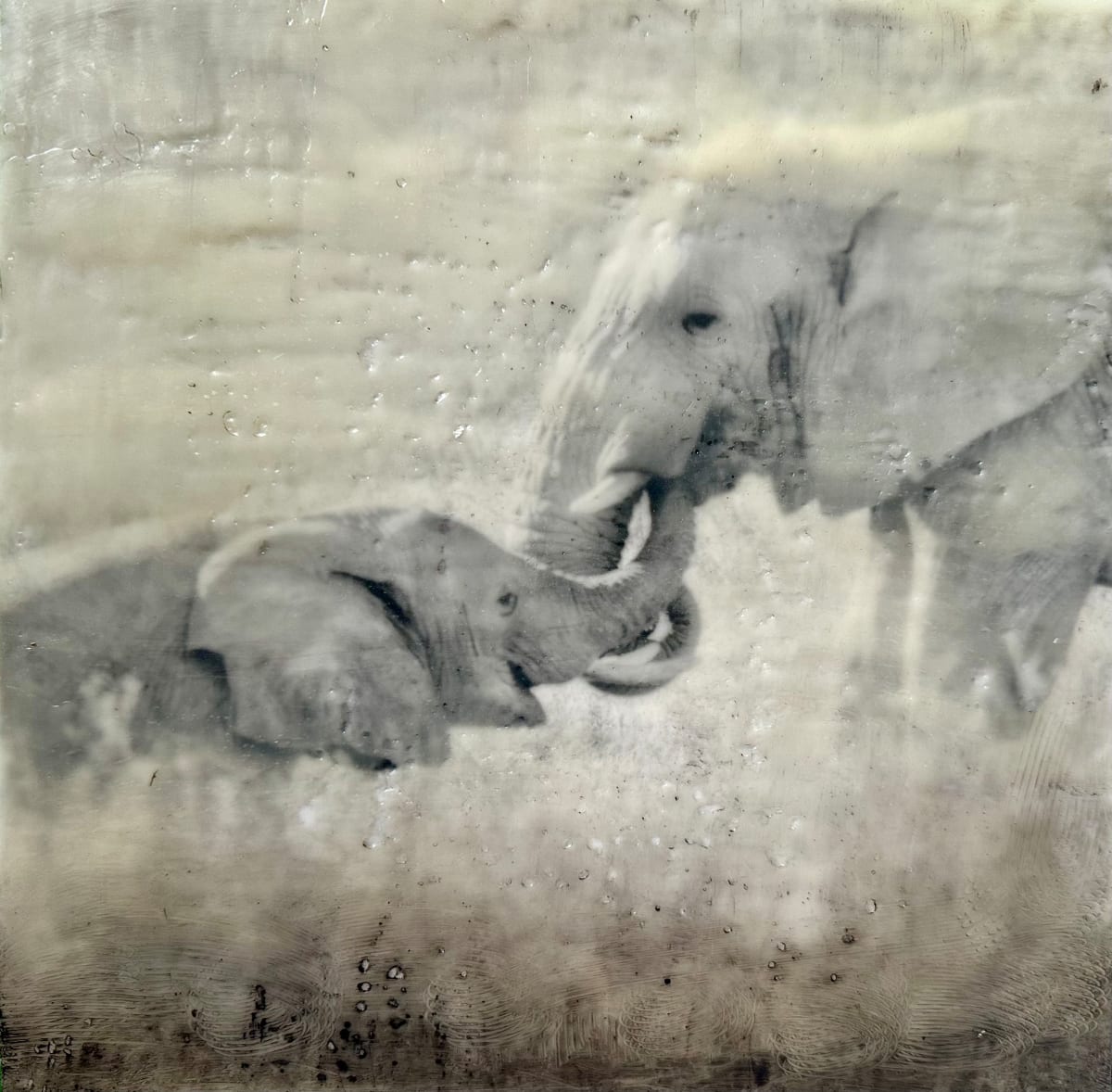 Shared Sustenance by Nancy Falconi 
