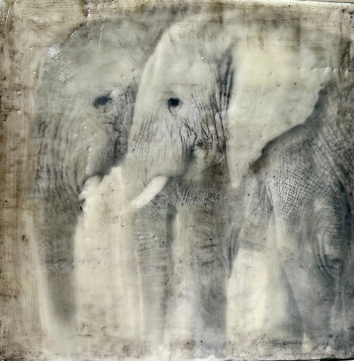 Great Love by Nancy Falconi  Image: Great Love