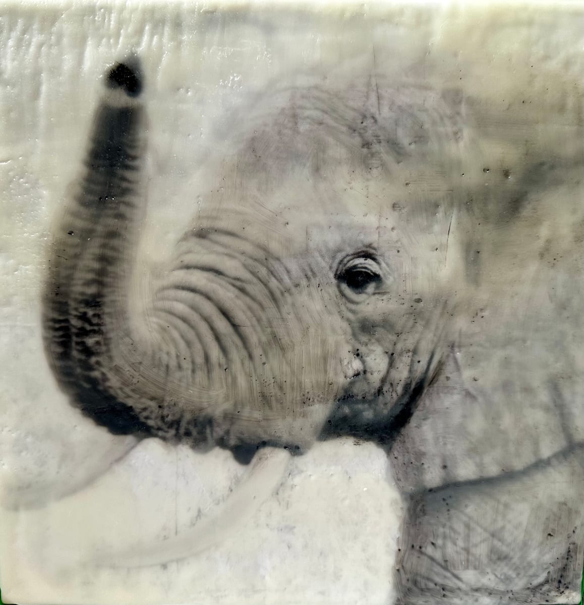 Uplifted by Nancy Falconi 