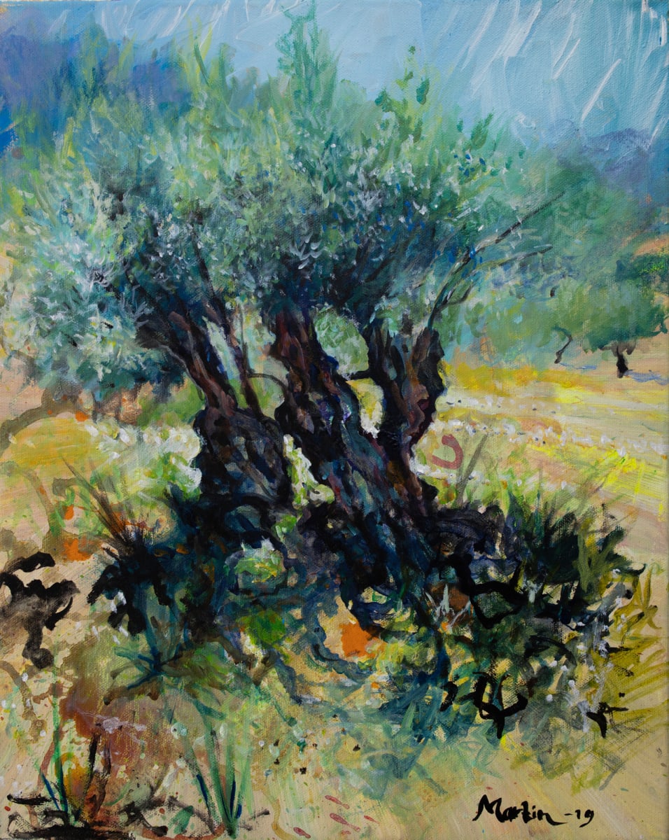 Olive Trees by Martin Spang Olsen 