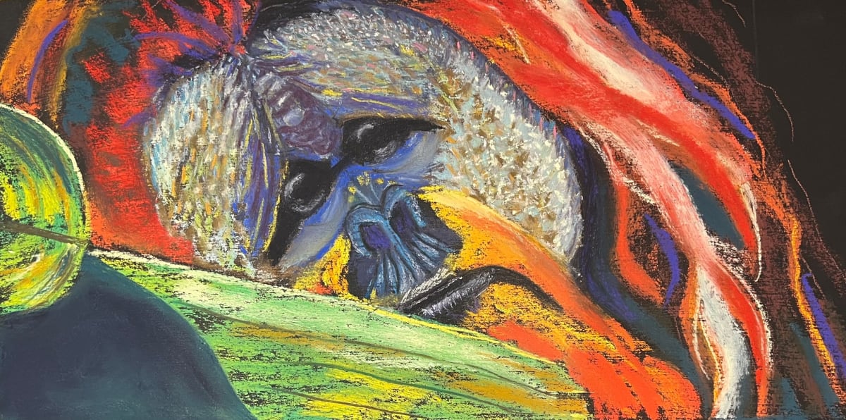 Zoo Life by Georgia Grover 