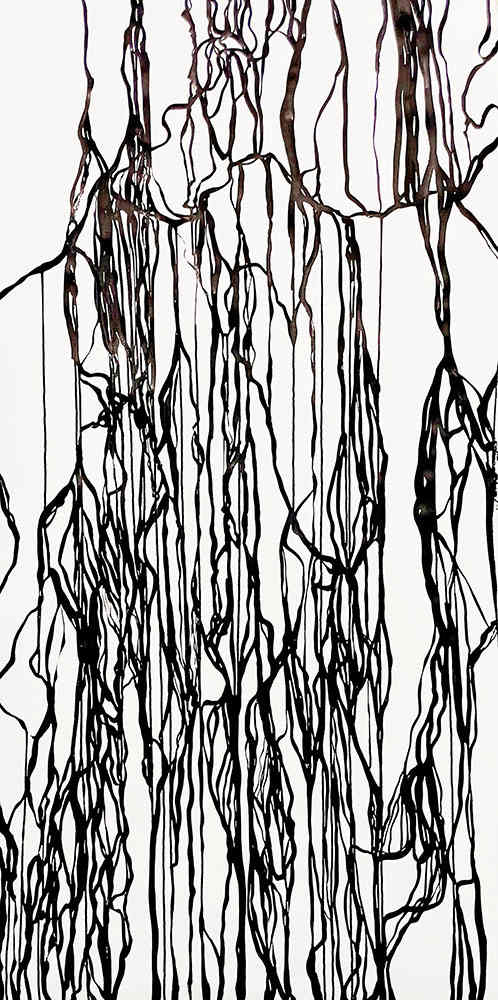 The Secret Language of the Forest No. 4 by Katherine Filice, Image 1.