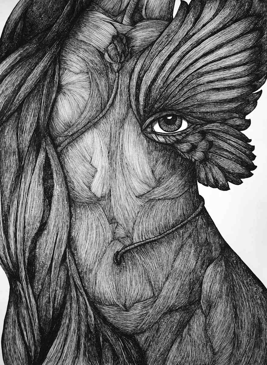 Defiance by Katherine Filice, Image 1.
