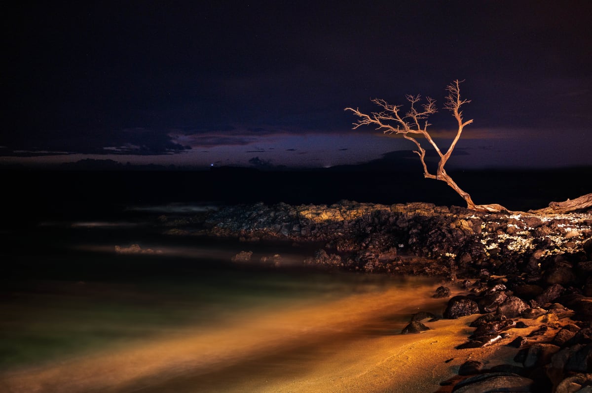 Solitary by Sheryl's Virtual Garden 