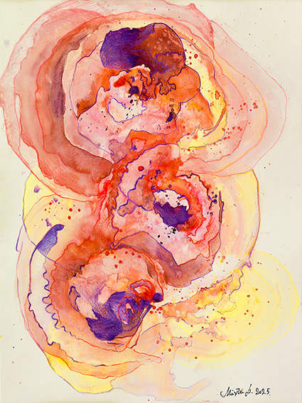 Blooming flower by Mandy Damirali 