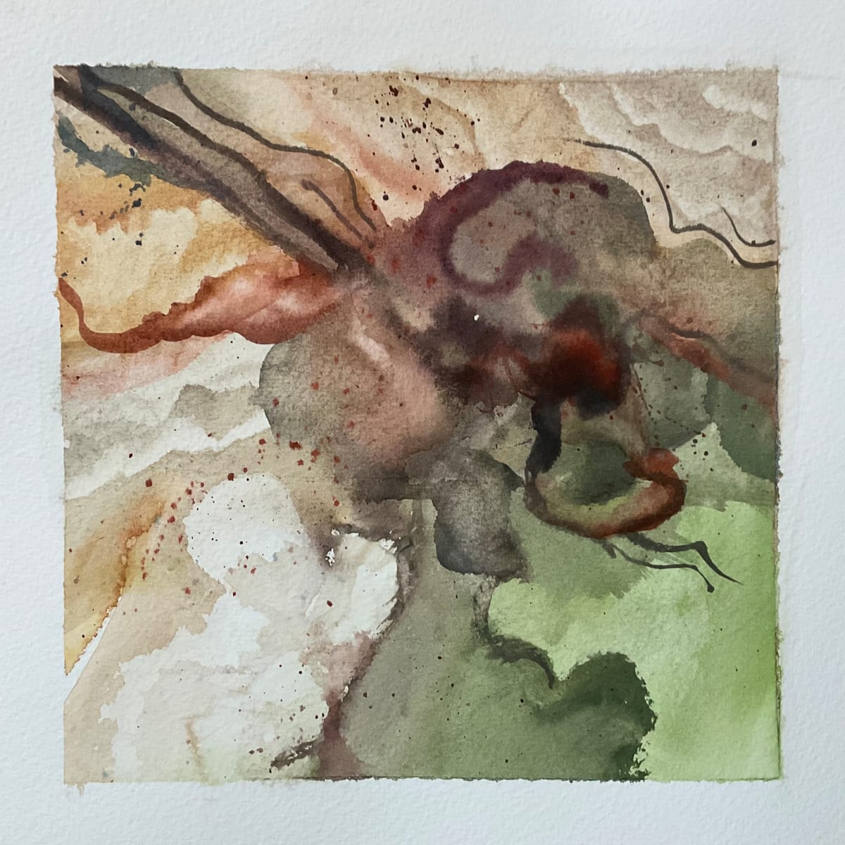 Nature abstract 2023, framed by Mandy Damirali 