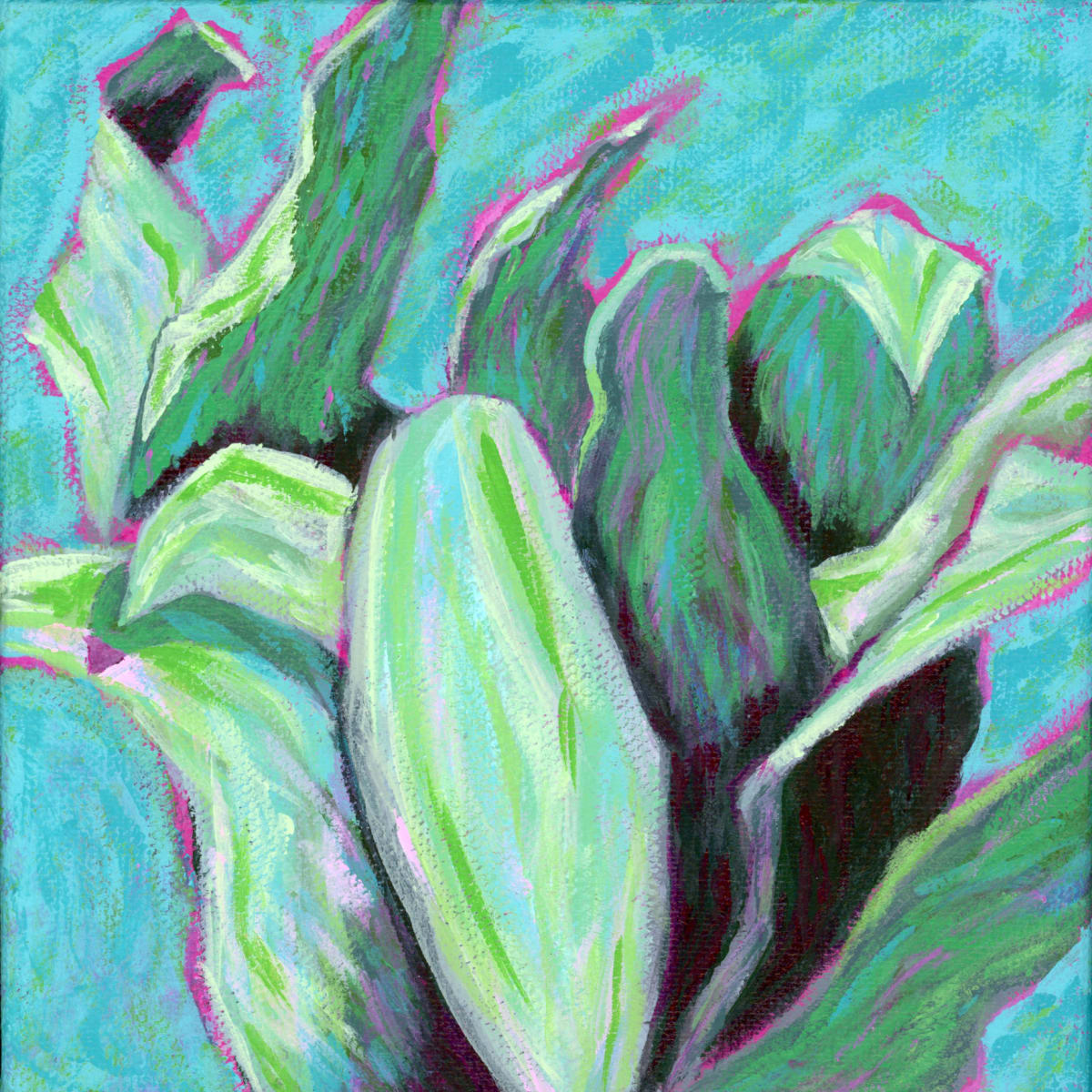 Cordyline by Sol Gardiner 