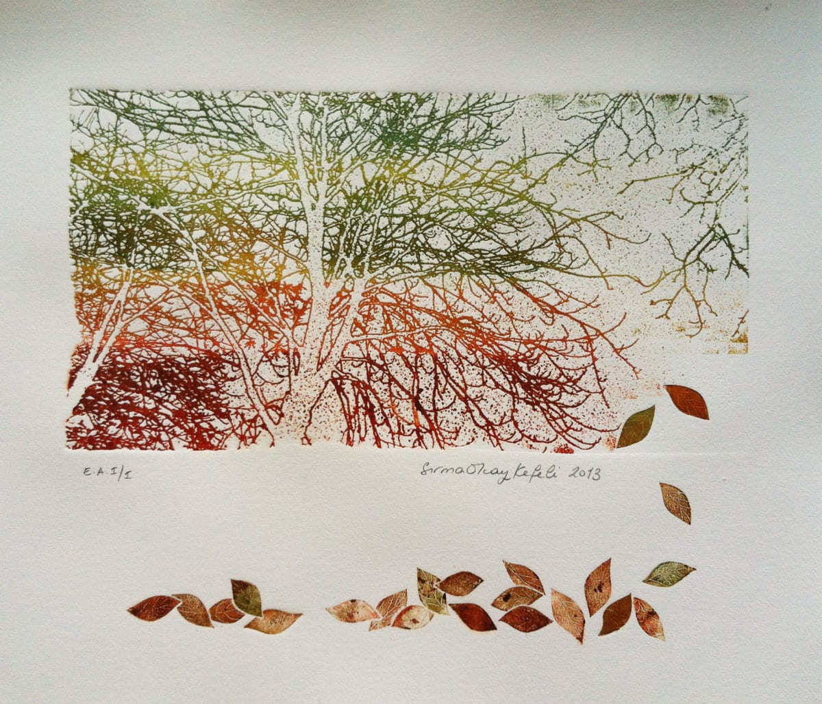12, Image 1.