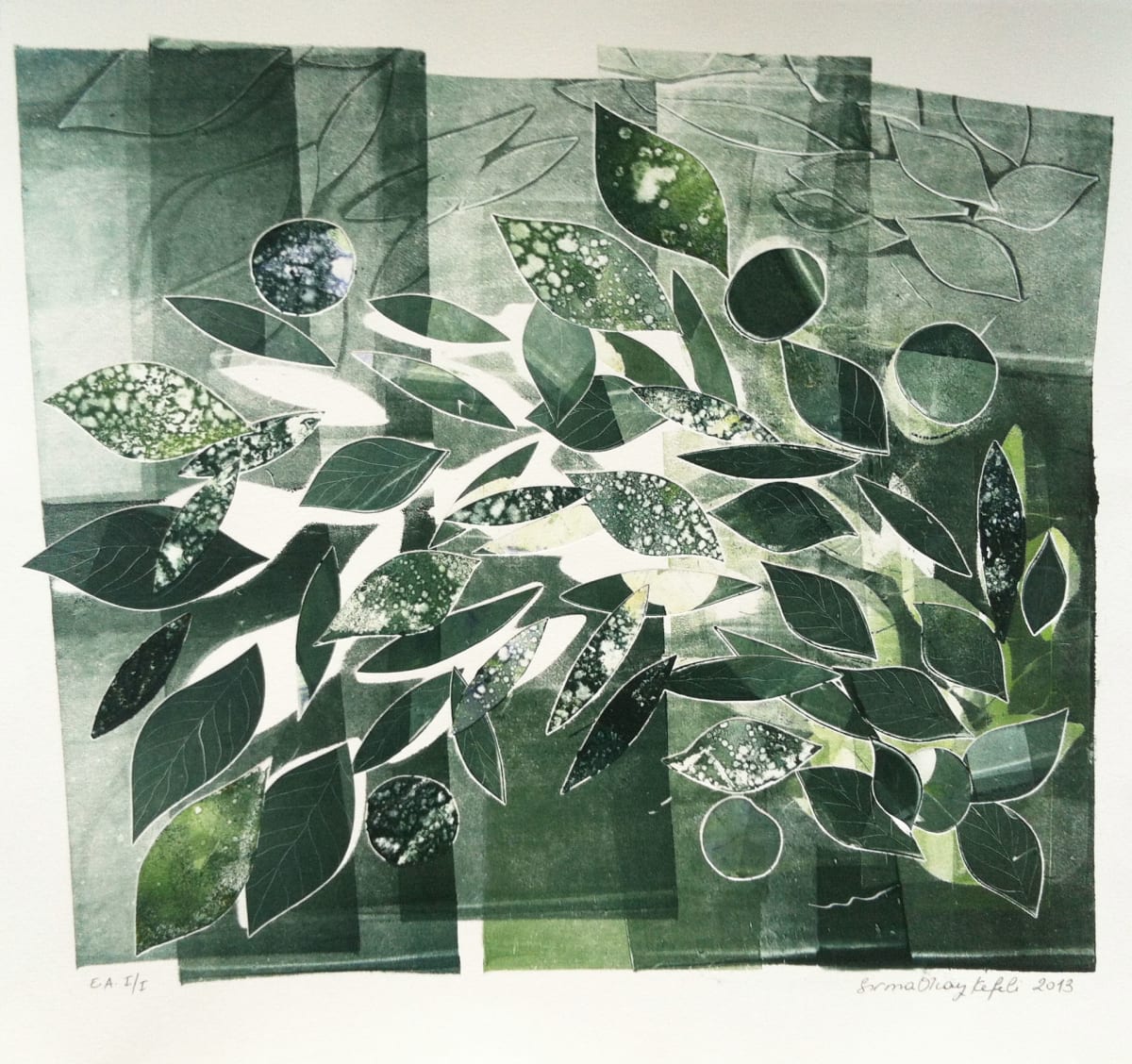 5, Image 1.