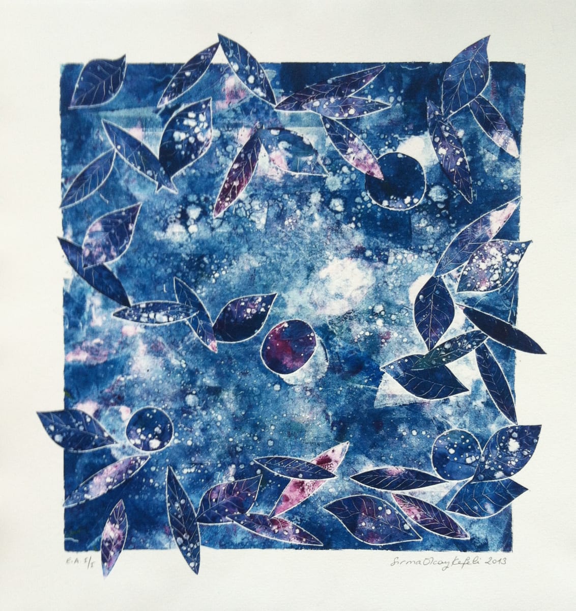 8, Image 1.