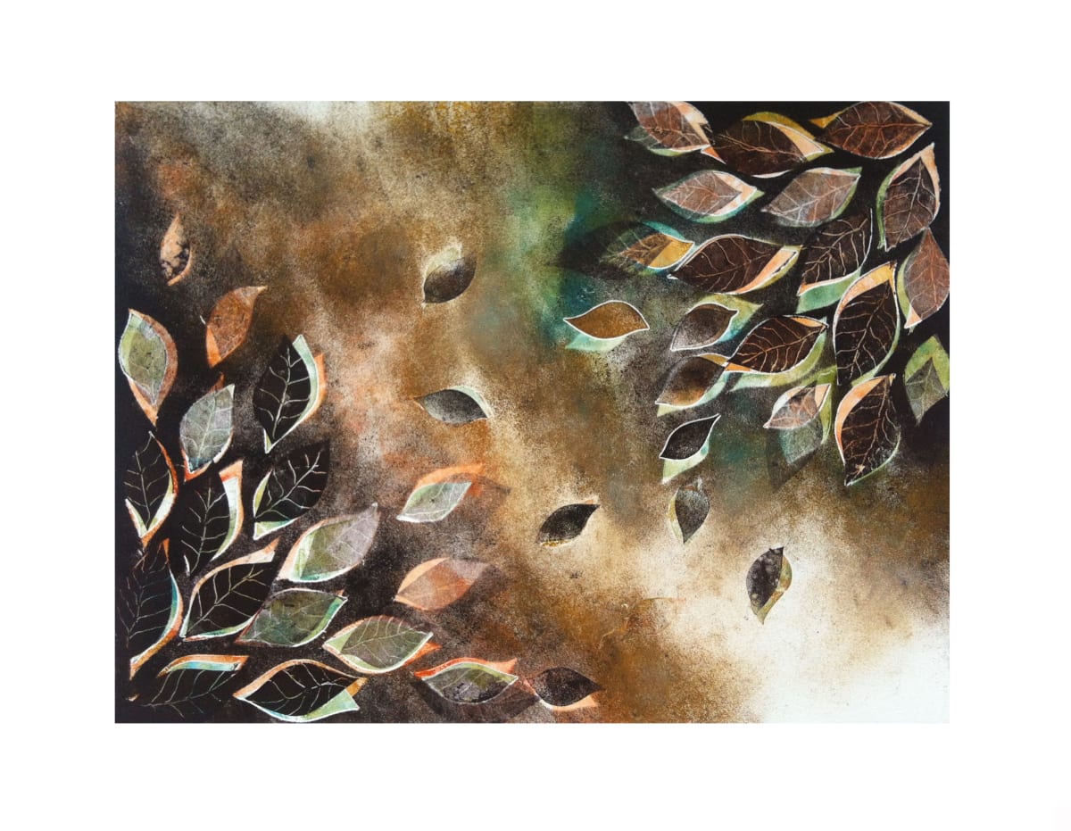 13, Image 1.