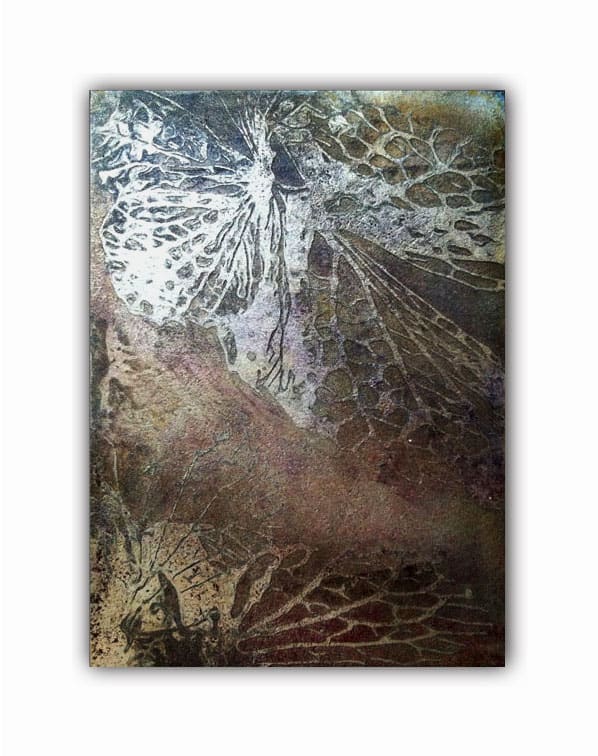 Hydrangea Series 13, Image 1.