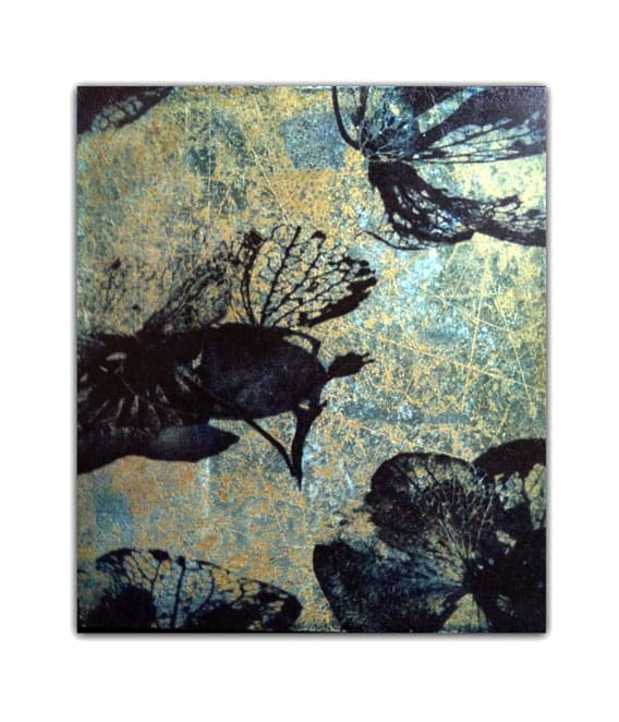 Hydrangea Series 14, Image 1.
