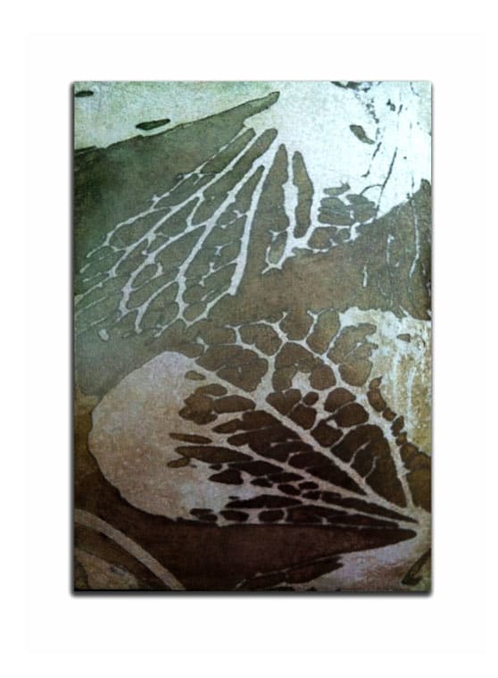 Hydrangea Series 16 