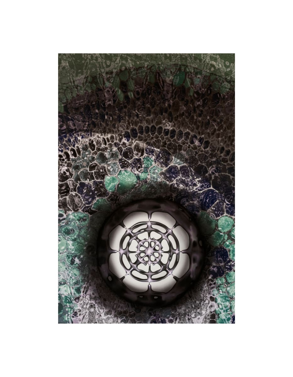 Bedi, Cebbar, Hakem, Vasi 