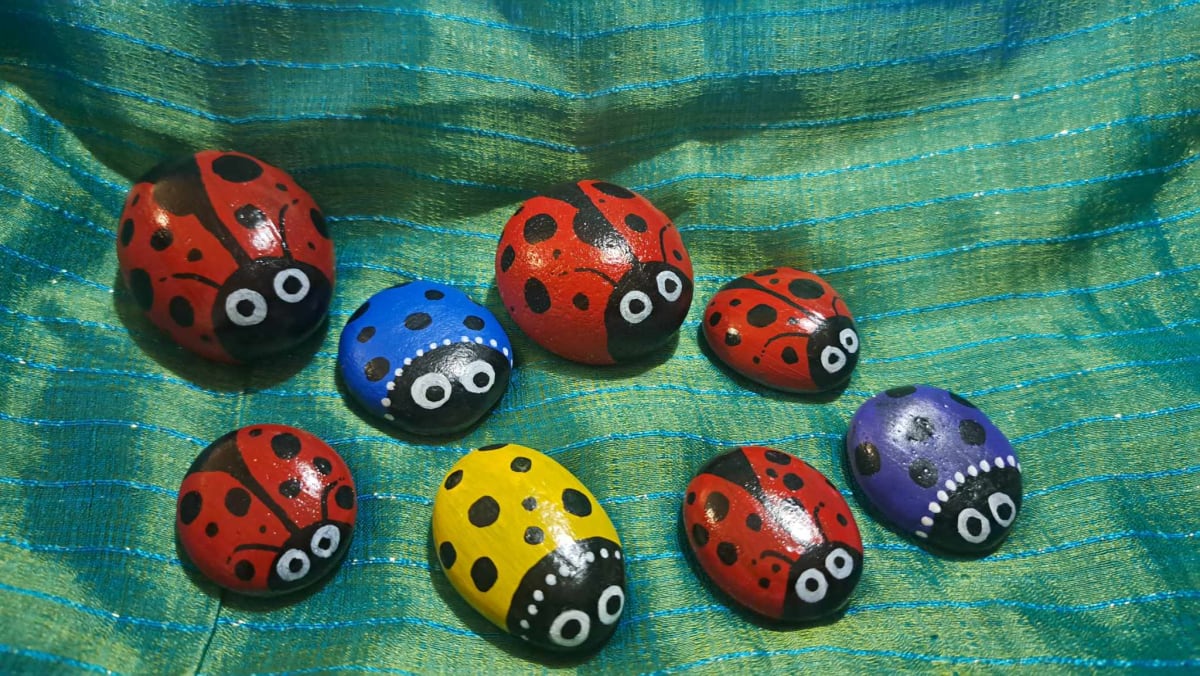 Painted Rock Lady Bugs by Perry Art Productions "Finding The Beauty"              50% off entire site!  Image: May Custom Request Color
Sm $2, Med $3, Lg $5