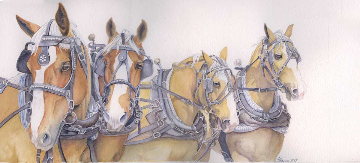 Ready to Work by Marcia Blanco, Image 1.