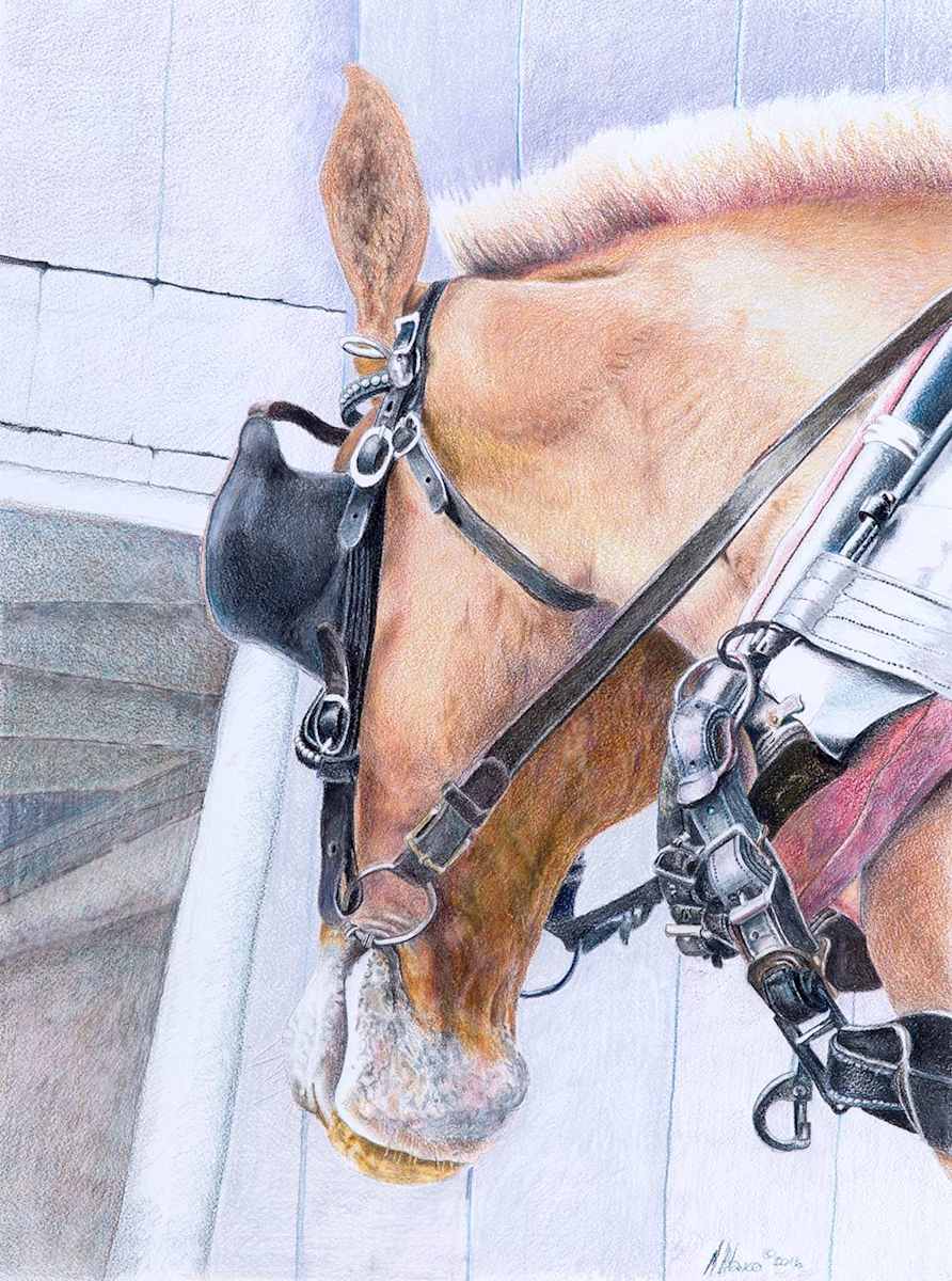 Going Home by Marcia Blanco, Image 1.