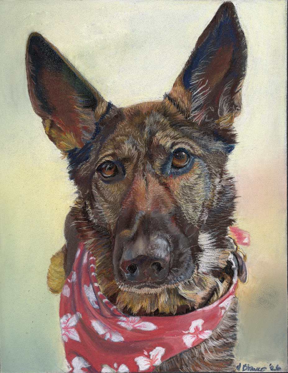 Stevie by Marcia Blanco  Image: Stevie