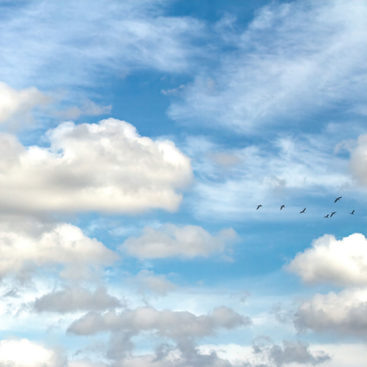 Cloudscape #2 