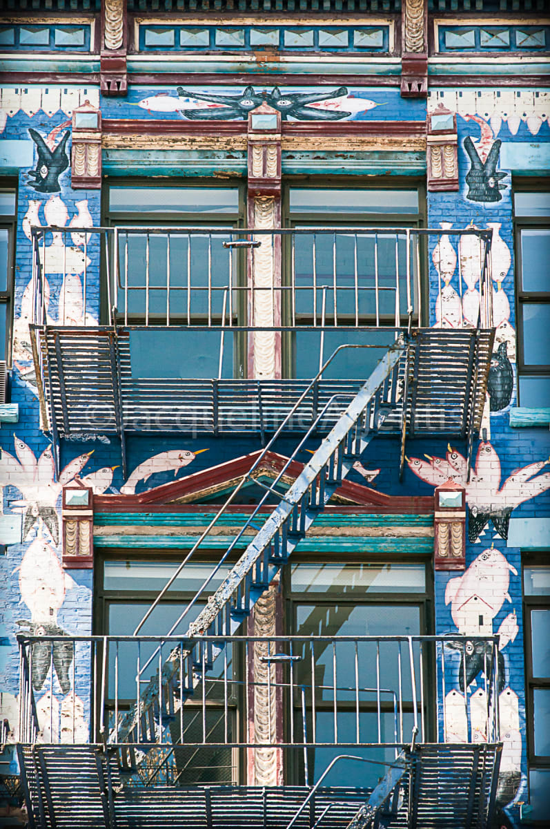ARTSCAPE by Jacqueline C Agentis, Image 1.