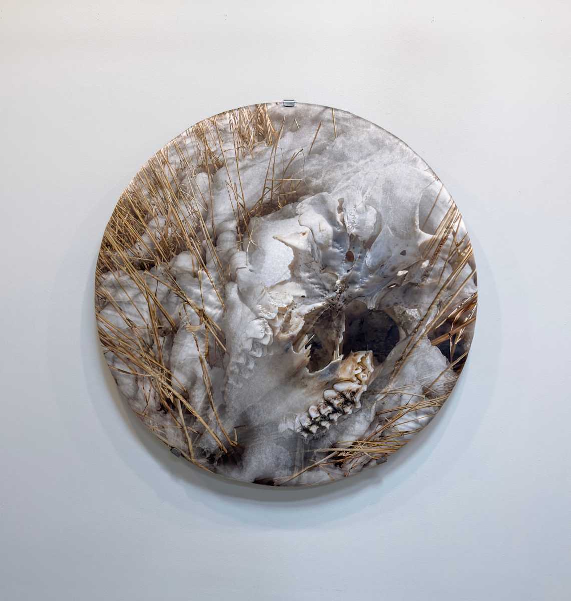 All These Places Are The Same Place (no.3) by Shelley Smith, Image 1.