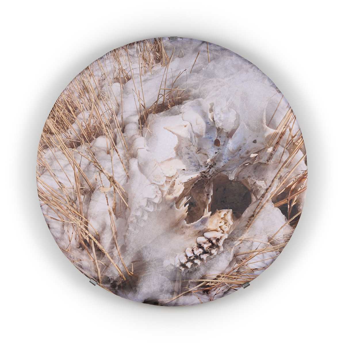 All These Places Are The Same Place (no.3) by Shelley Smith, Image 5.