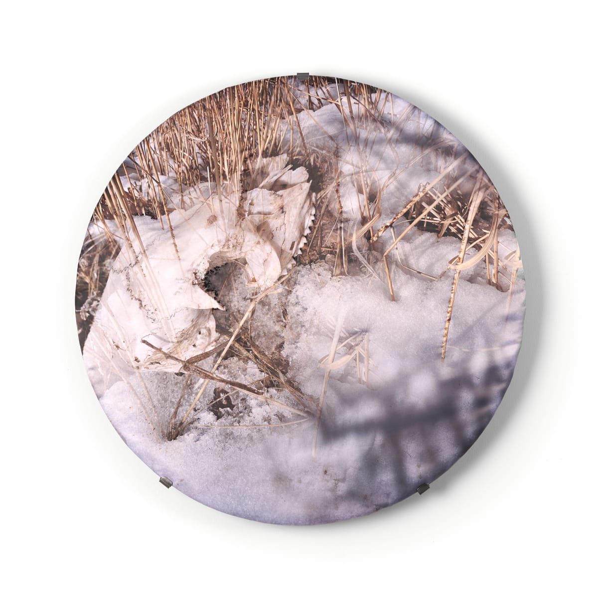 All These Places Are The Same Place (no.2) by Shelley Smith, Image 1.