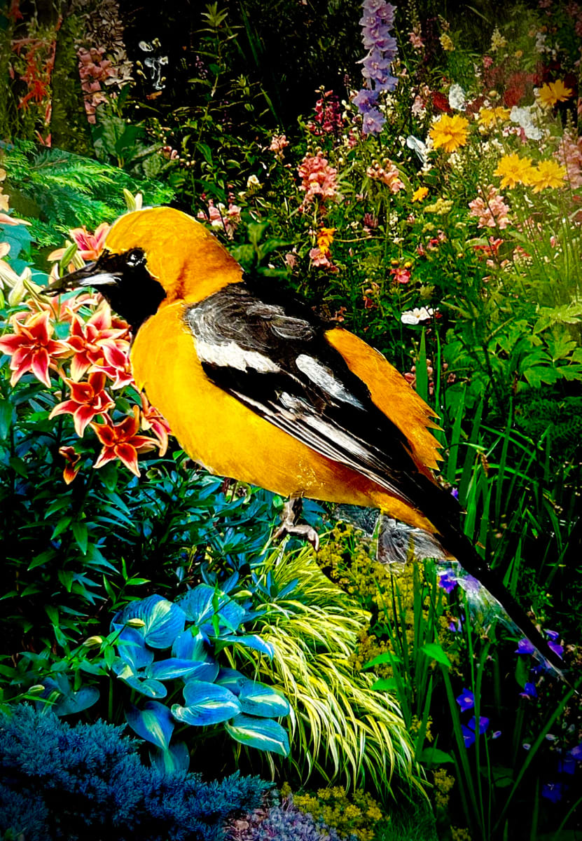 Spring Fantasy by Mariana D Kramer 