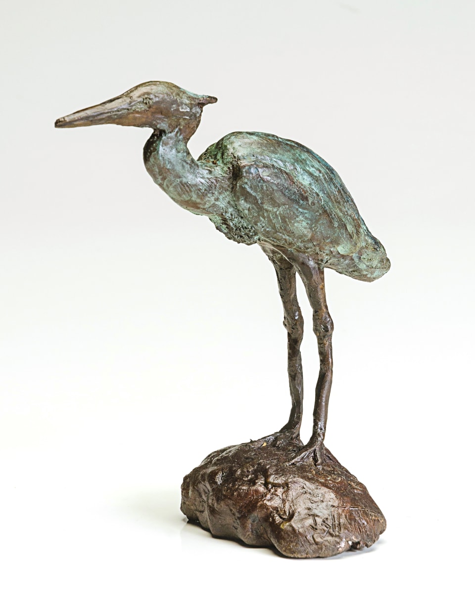 Great Blue Heron 1/50 by John Hallett