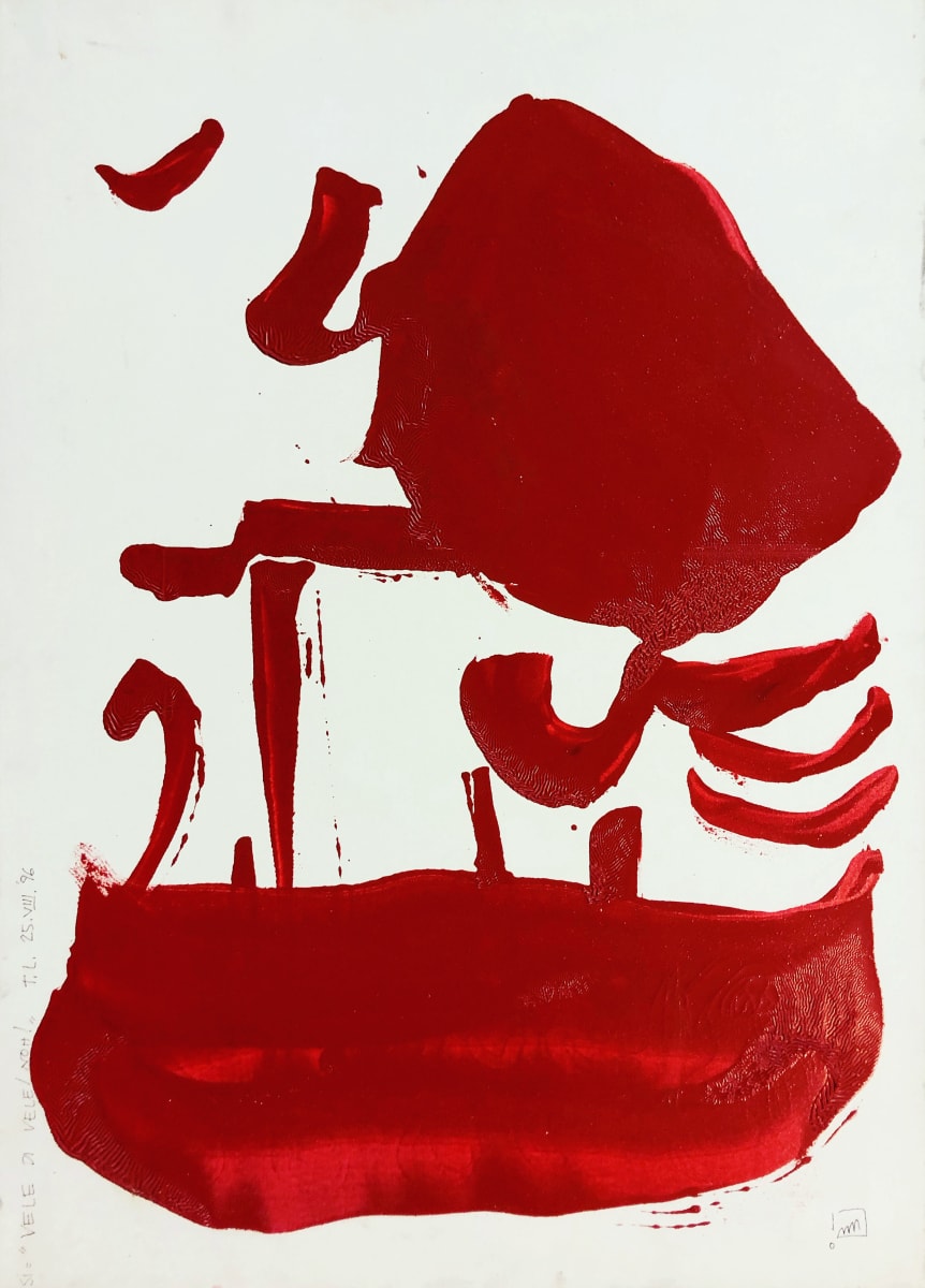 VeleNOH by Renee Fabbiocchi 