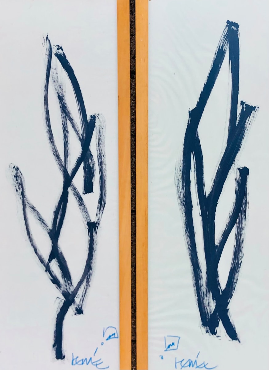 Coppia di Fiori Allegri by Renee Fabbiocchi, Image 1.