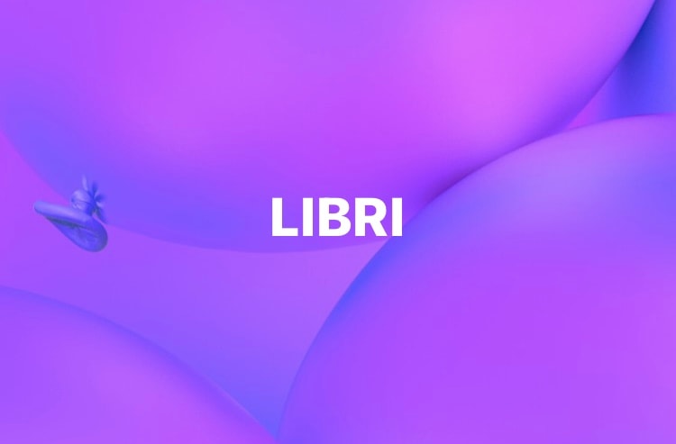 LIBRI by Renee Fabbiocchi, Image 1.