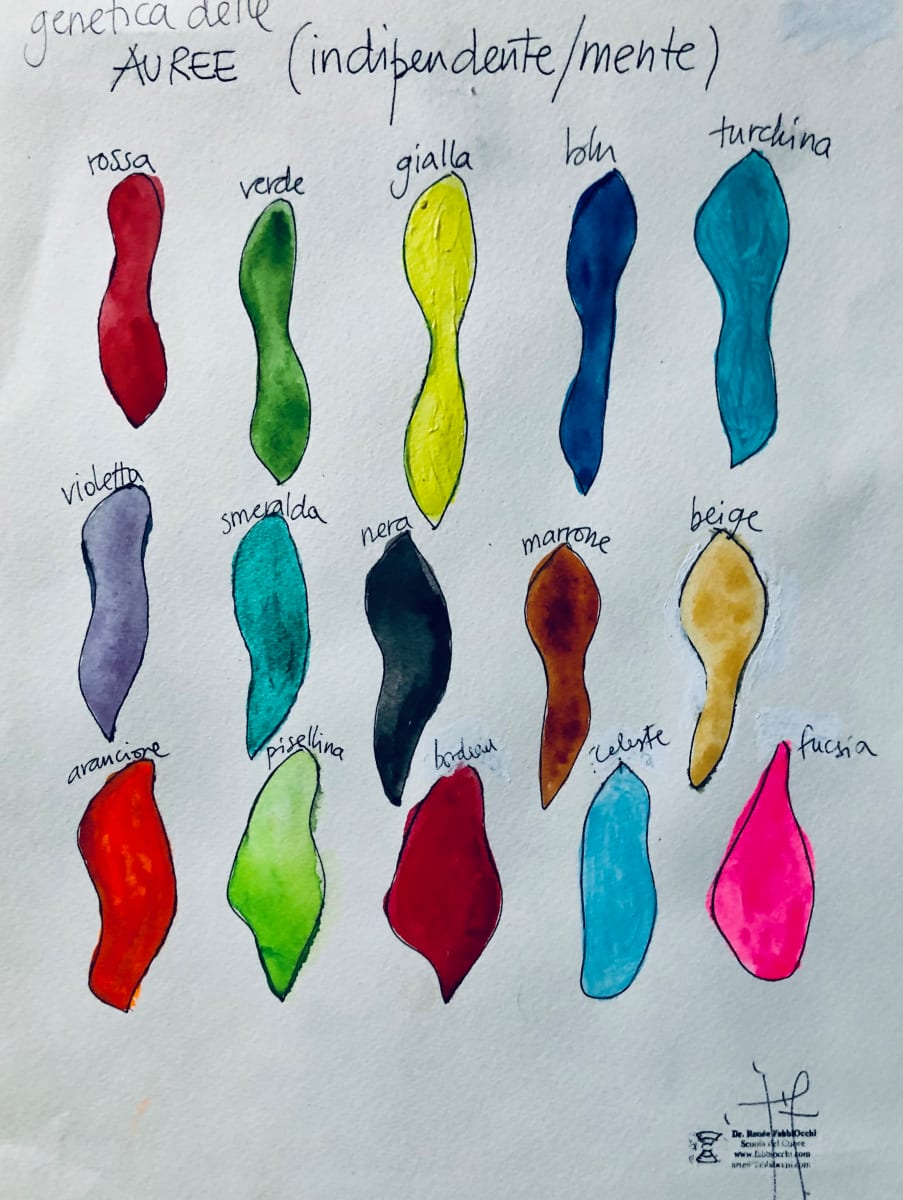 Genetica delle Auree (Studio) by Renee Fabbiocchi, Image 1.