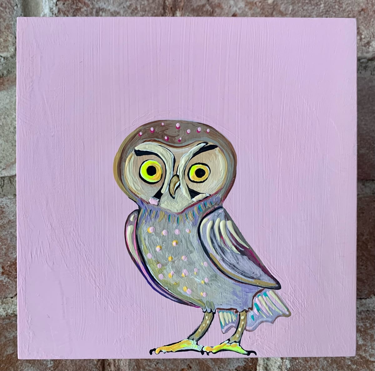 Elf Owl by jo smith, Image 1.