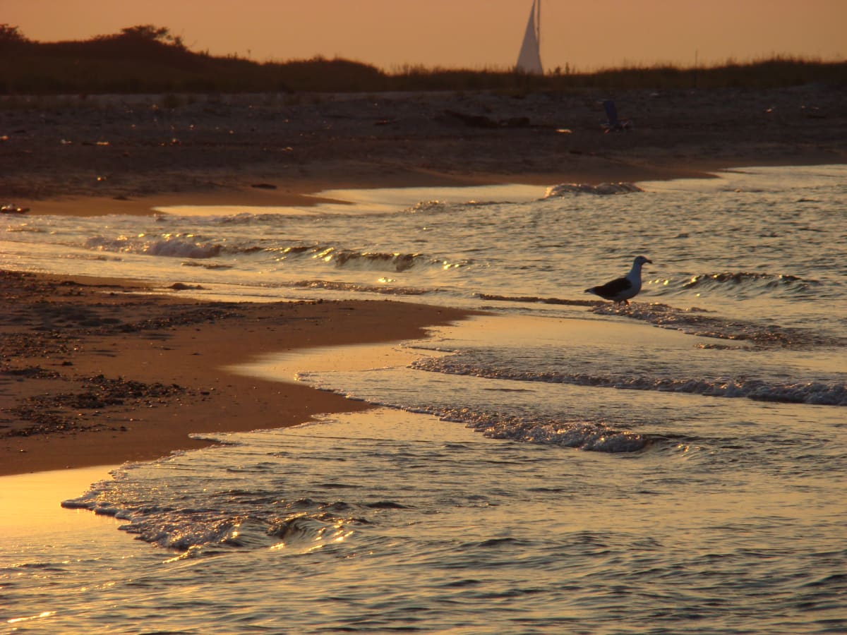 Golden Sandy Hook Sunset, Image 1.