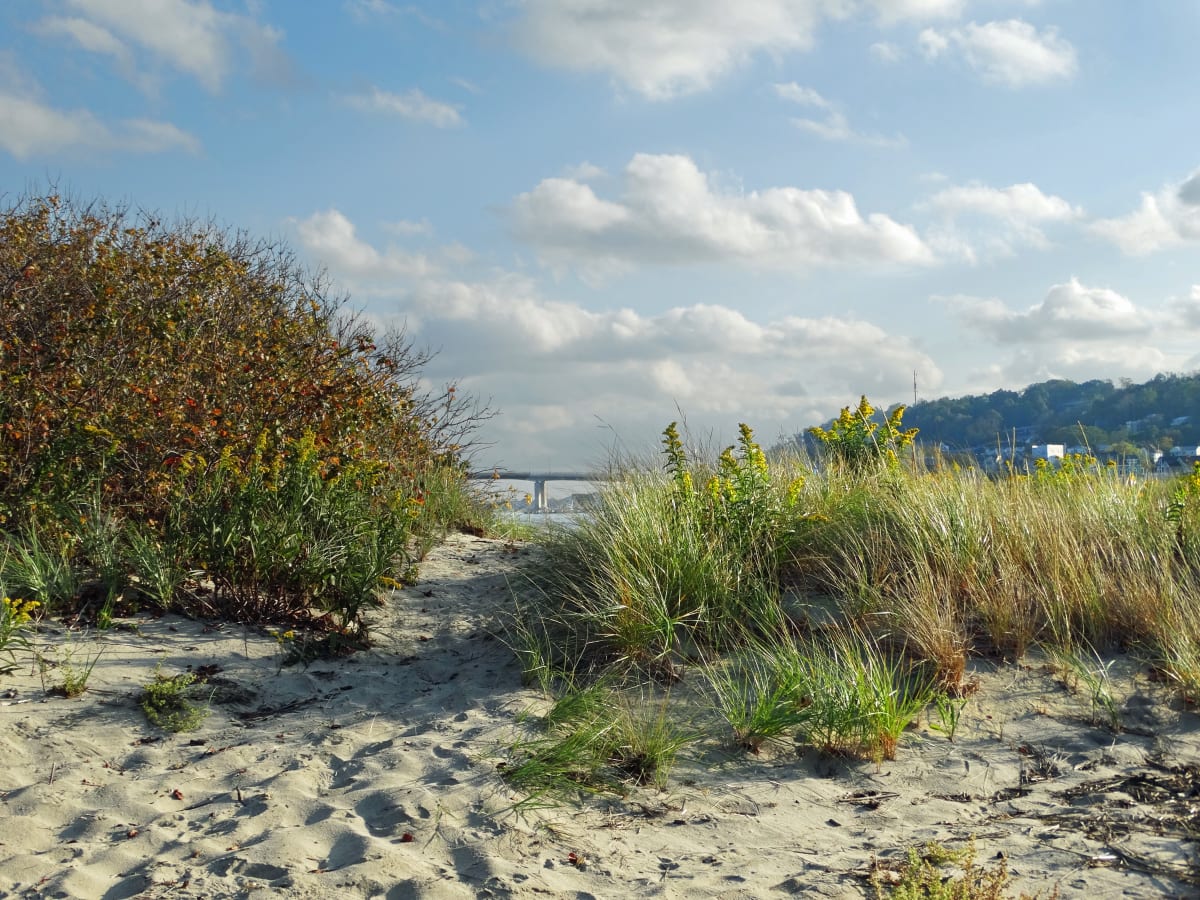 Highlands Bridge from Sandy Hook 