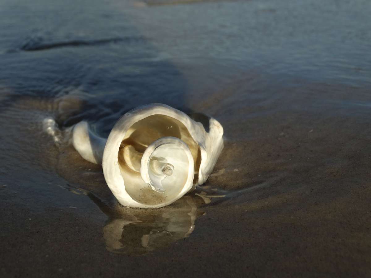 Spirals in Evening Light, Image 1.